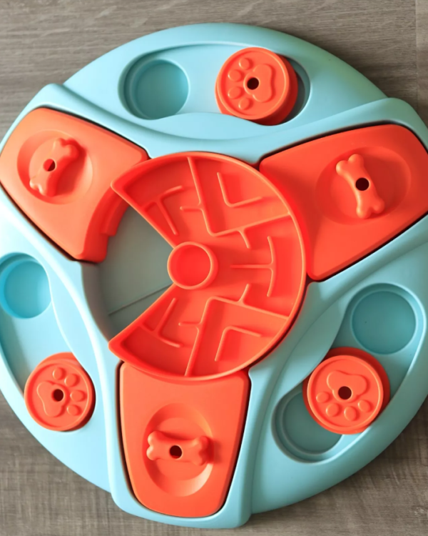 Train and Entertain: Engaging Puzzle Toys for Your Dog